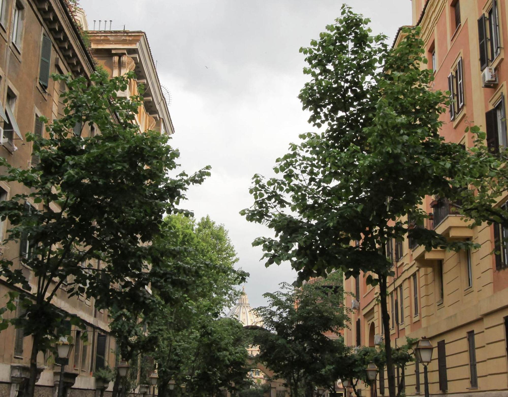Affittacamere San Pietro Resort Rome Exterior photo